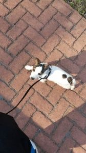 Meet your Posher, Derrick